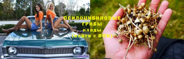 2c-b Армянск