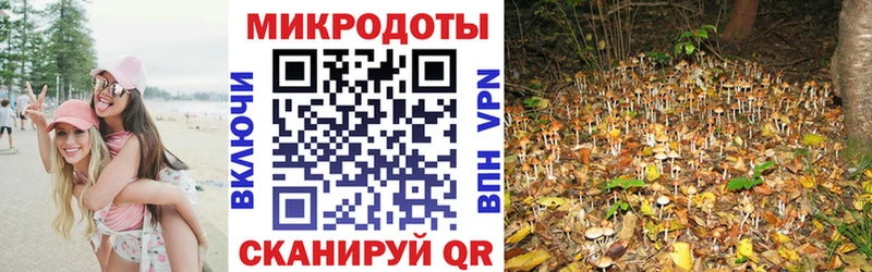 купить наркотик  Кушва  Псилоцибиновые грибы MAGIC MUSHROOMS 